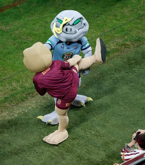 nsw state of origin mascot.